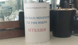 oli-mazi-sto-plevro-tis
