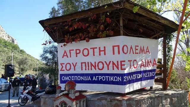 omosp.&Alpha;gr.sillogon-lesvouoli-tin-kiriaki-29