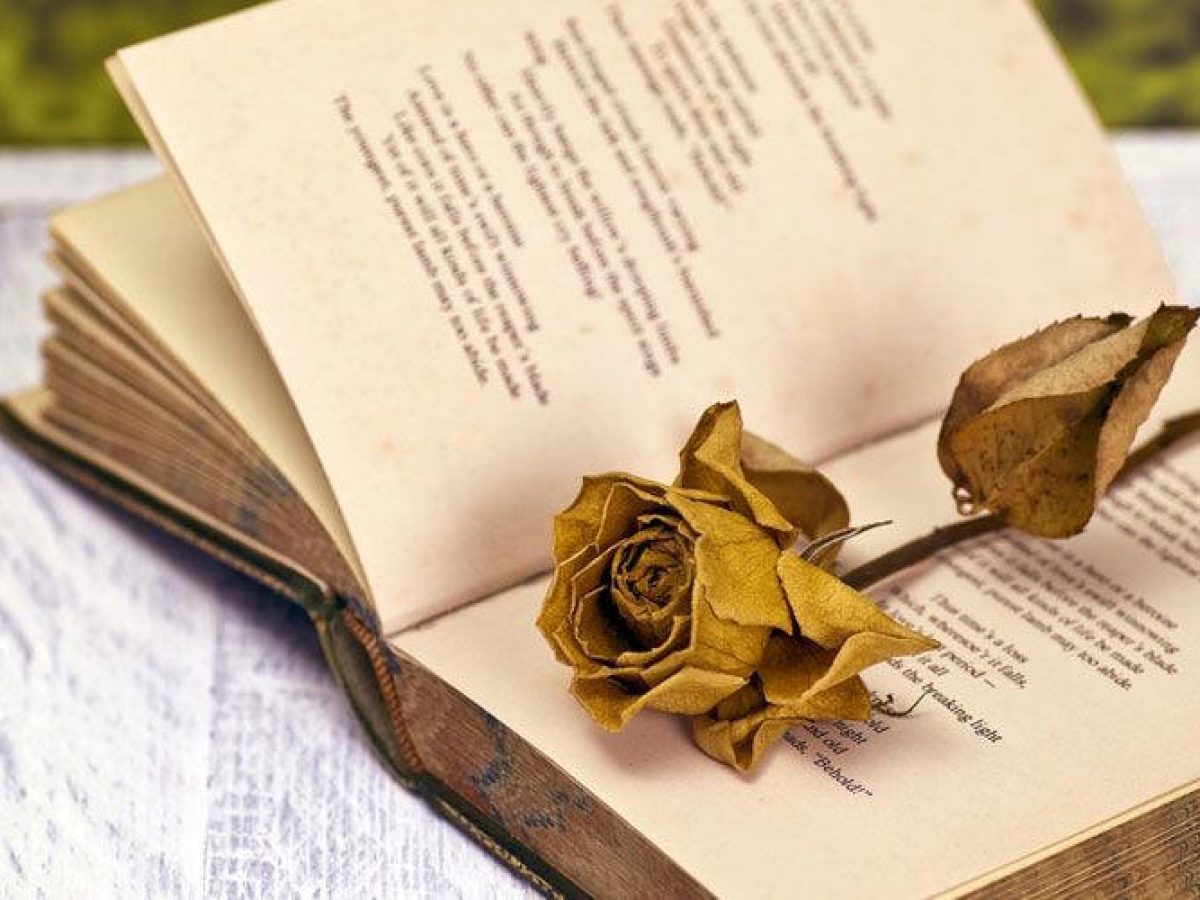 Παγκόσμια Ημέρα Ποίησης στην Δημοτική Βιβλιοθήκη Λευκάδας