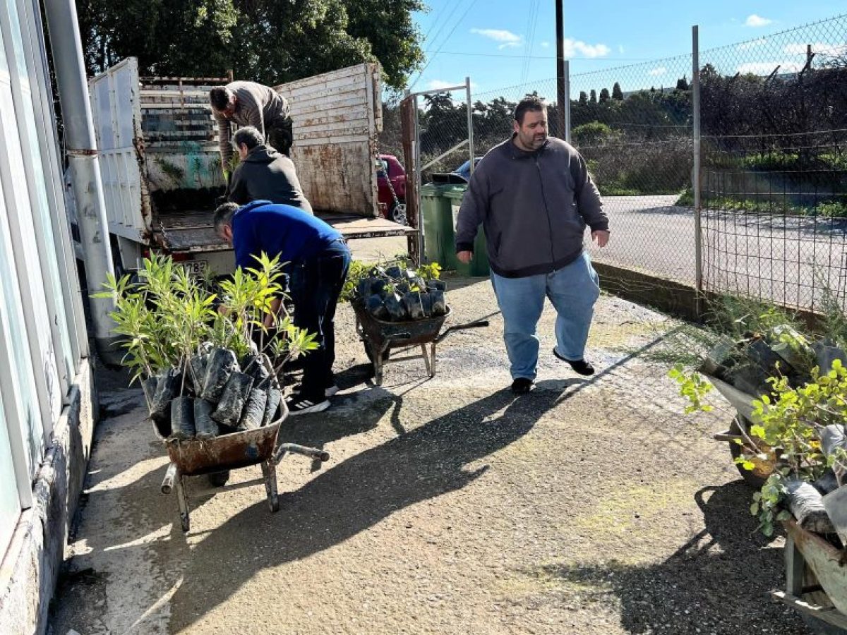 Πάνω από 2.000 φυτά σε δήμους, σχολεία και κοινότητες των νησιώναπό το Περιφερειακό Φυτώριο Νοτίου Αιγαίου