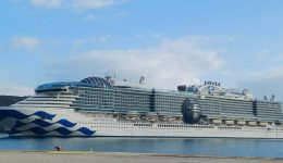 pano-apo-4.000-i-episkeptes-2