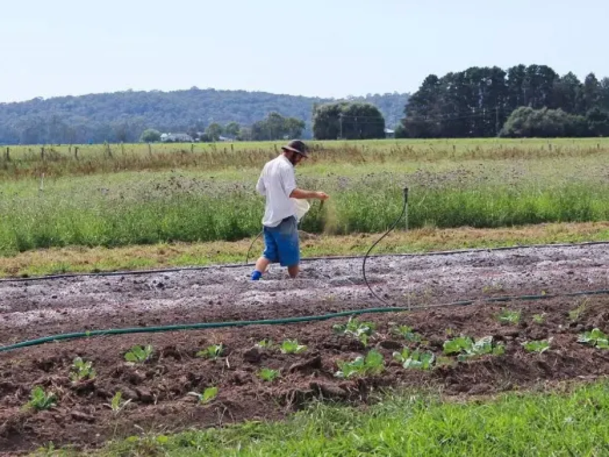 Παραμονή στην ύπαιθρο: Οι νέοι στην Κεντρική Μακεδονία ψηφίζουν το δίπτυχο «εργασία-ψυχαγωγία»  – Ενημέρωση από το One Stop Liaison Office της Περιφέρειας Κεντρικής Μακεδονίας