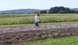 paramoni-stin-ipethro-i-nei