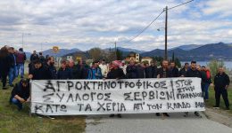 parastasi-diamartirias-ktinotrofon-sti-gefira