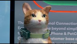 parousiastike-to-PetPhone-&ndash;-pos