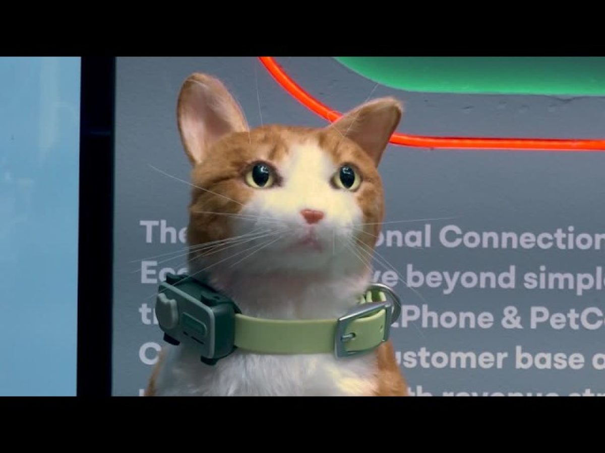 Παρουσιάστηκε το PetPhone – Πώς μπορεί το κατοικίδιο να «καλεί» τον ιδιοκτήτη