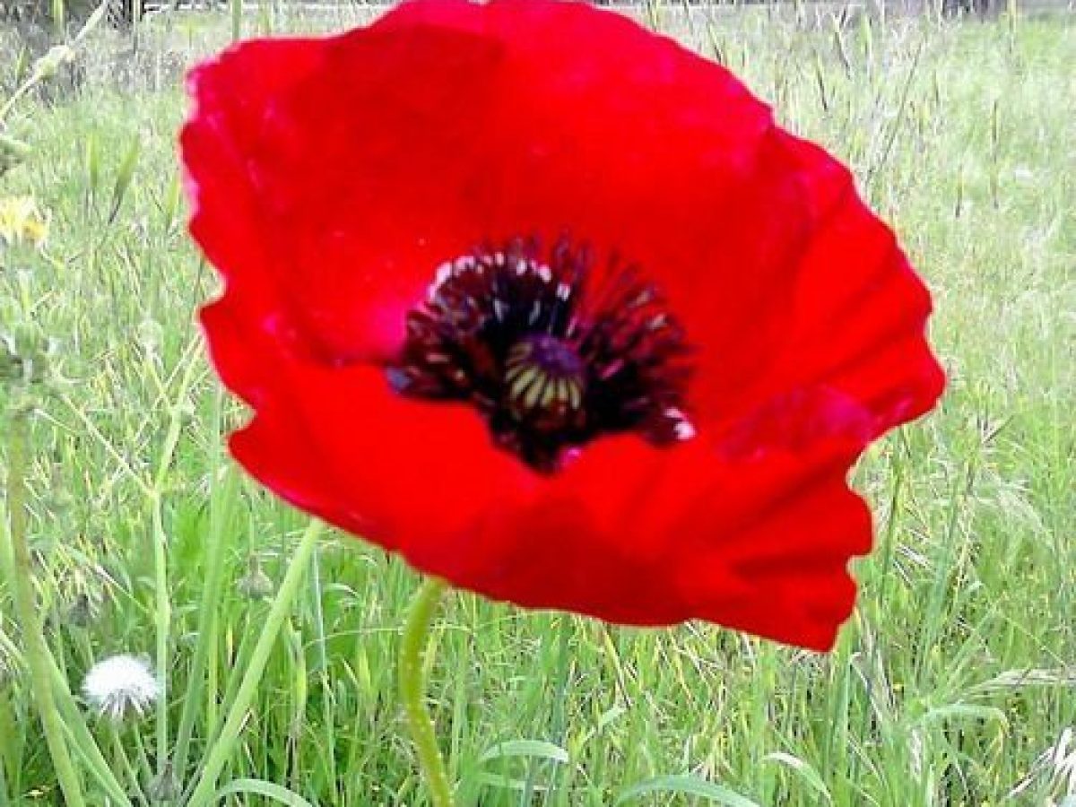 Πασχαλινό ωράριο 2026 – Στηρίζουμε τα μαγαζιά της πόλης μας!