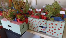 pazari-avrio-stous-4-martires-1