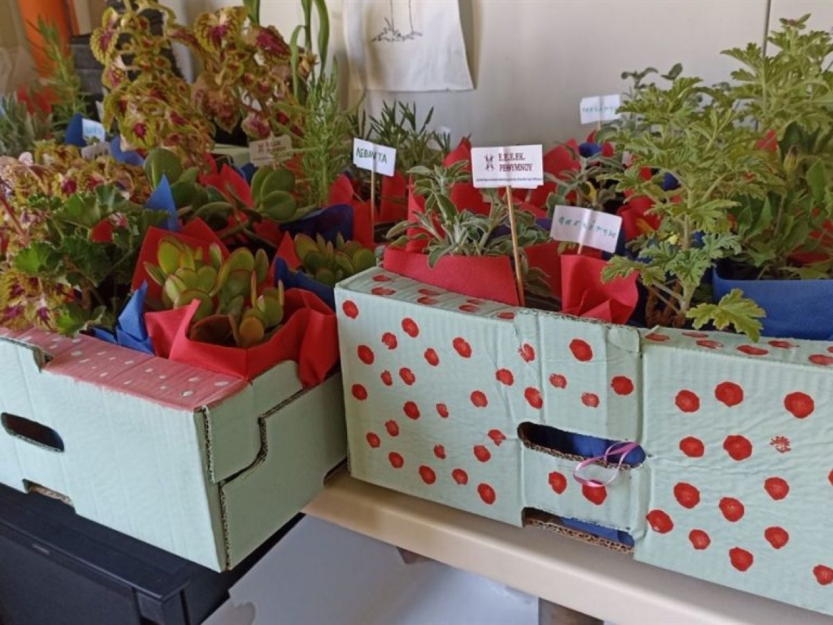 Παζάρι αύριο στους 4 Μάρτυρες από τον σύλλογο γονέων του Ε.Ε.Ε.ΕΚ. Ρεθύμνου