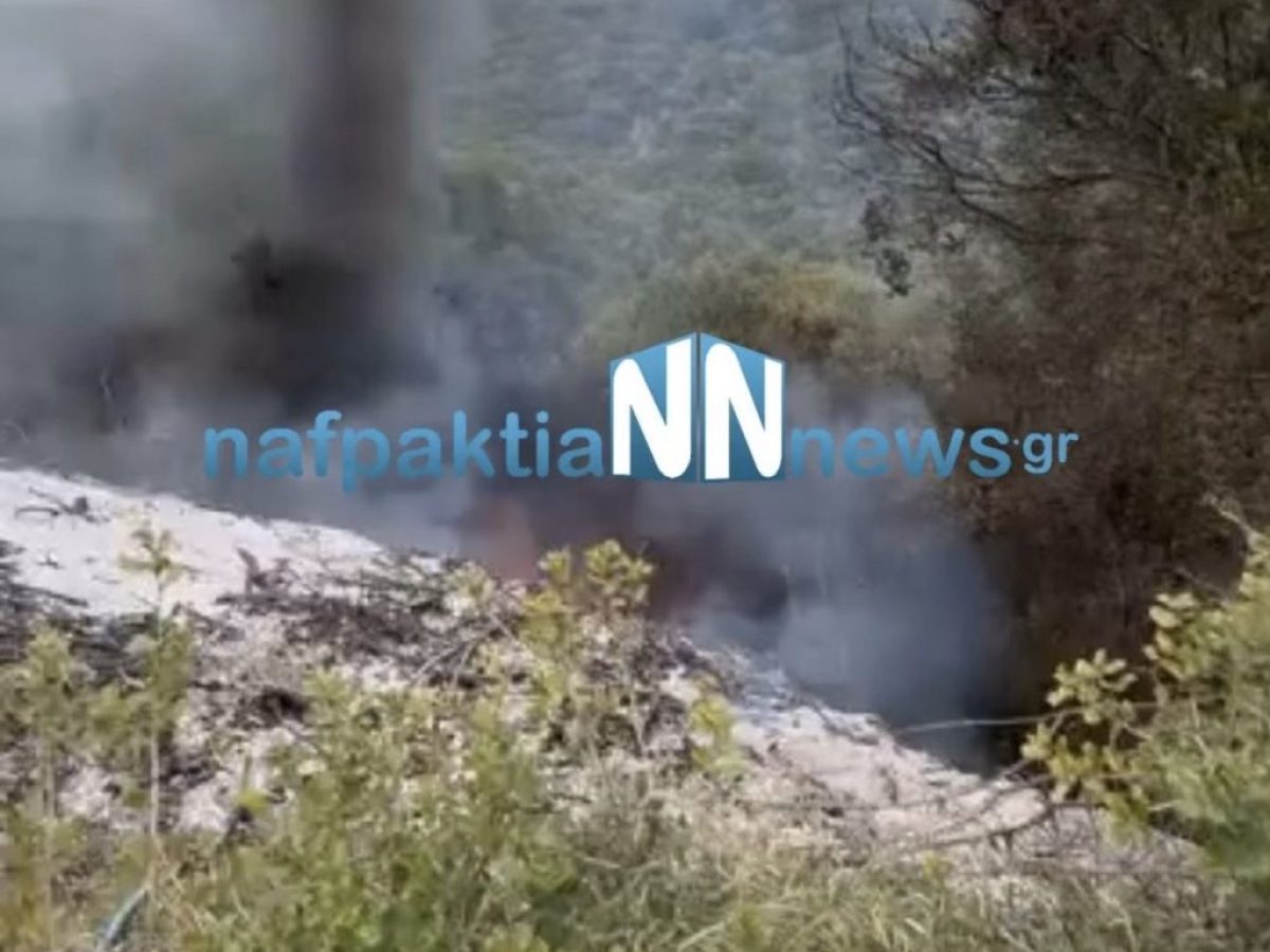 Πυρκαγιά μικρής έκτασης στα Πιτσιναίικα Ναυπακτίας
