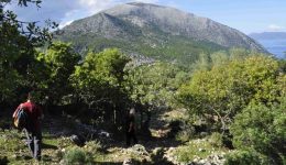 pliris-diafania-gia-tis-pezoporikes