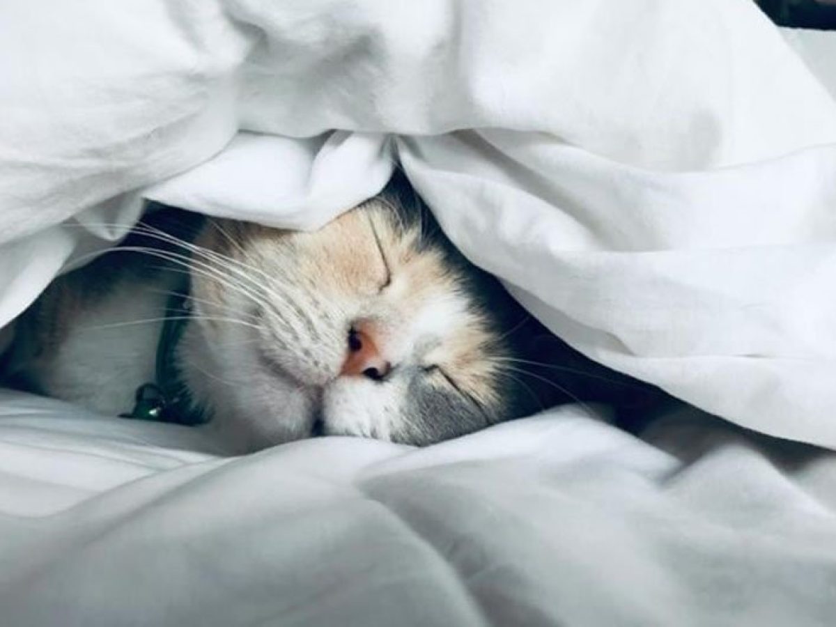 Πώς 11 λεπτά παραπάνω ύπνου μπορούν να «προλάβουν» ένα έμφραγμα