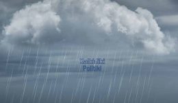 pos-mia-petalouda-bori-na-1