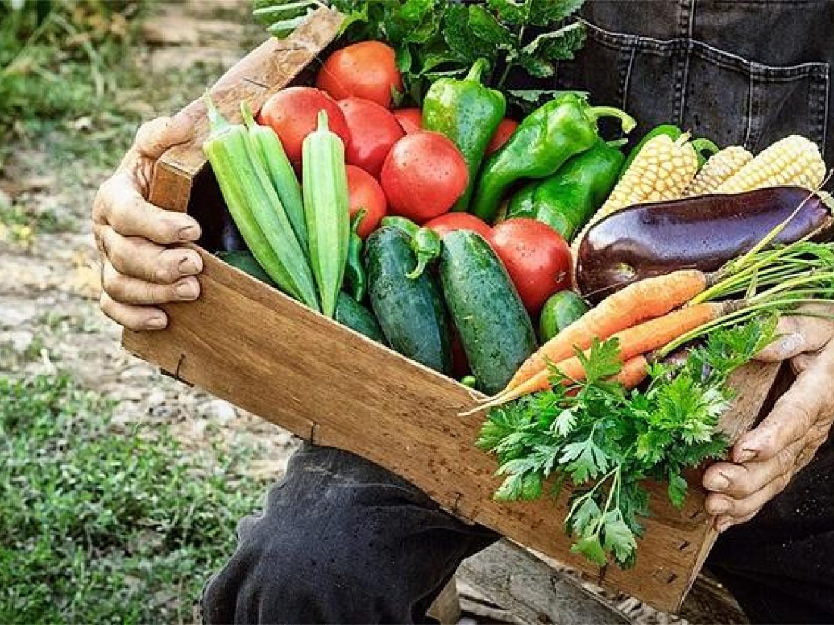 Πως θα πετύχει η συνεργασία των παραγωγών με τους ξενοδόχους της Κρήτης
