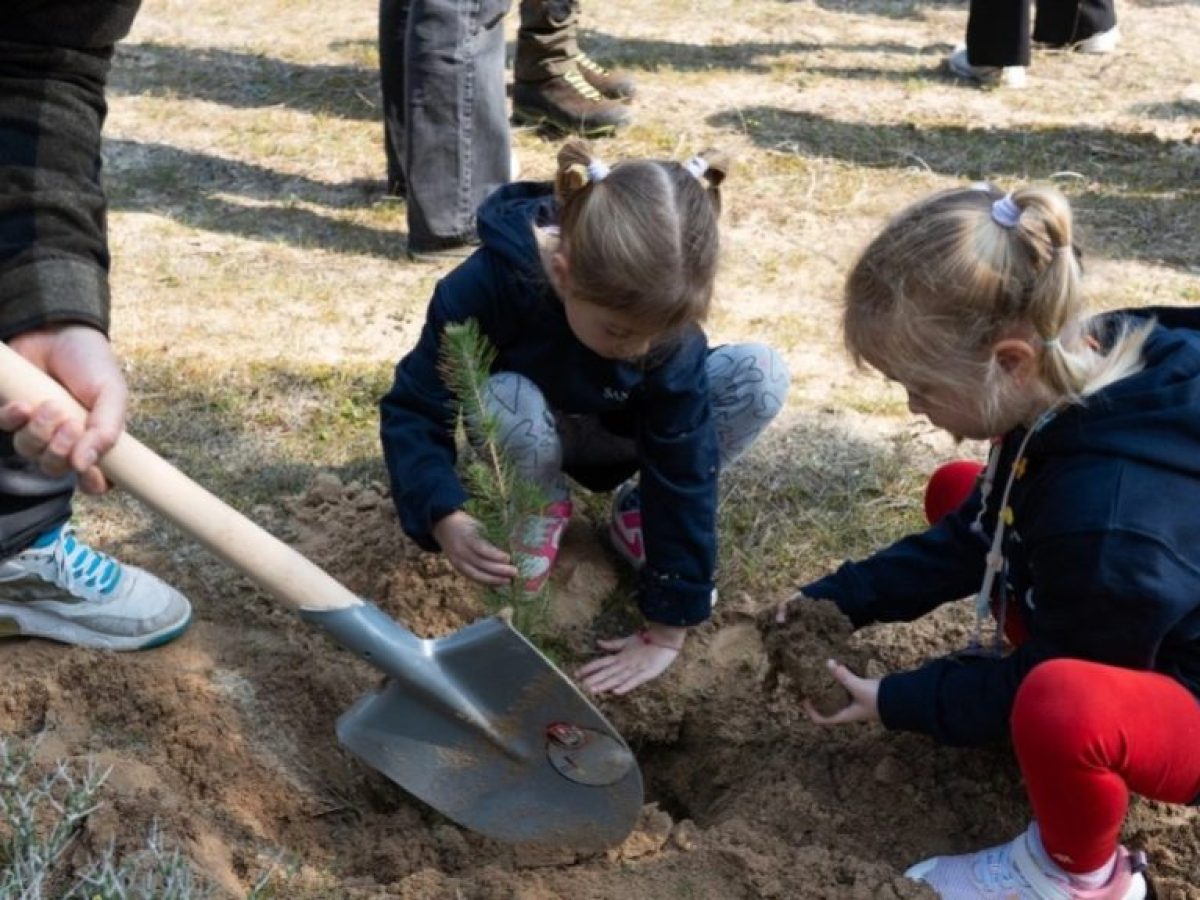 Πρόγραμμα φύτευσης 6.000 δέντρων για την ενίσχυση του παράκτιου πευκοδάσους της Σάνης στη Χαλκιδική