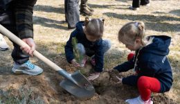 programma-fitefsis-6.000-dentron-gia