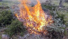 prostimo-gia-paranomi-kafsi-ipolimmaton