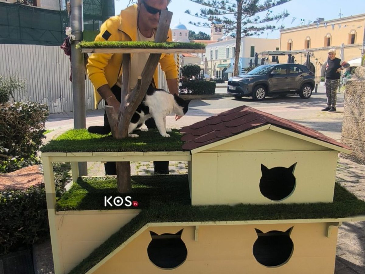 Πρωτοβουλία της Κοινότητας Κω για τα αδέσποτα, με νέο γατόσπιτο και την στήριξη του Κλεόπα Χριστοδουλίδη