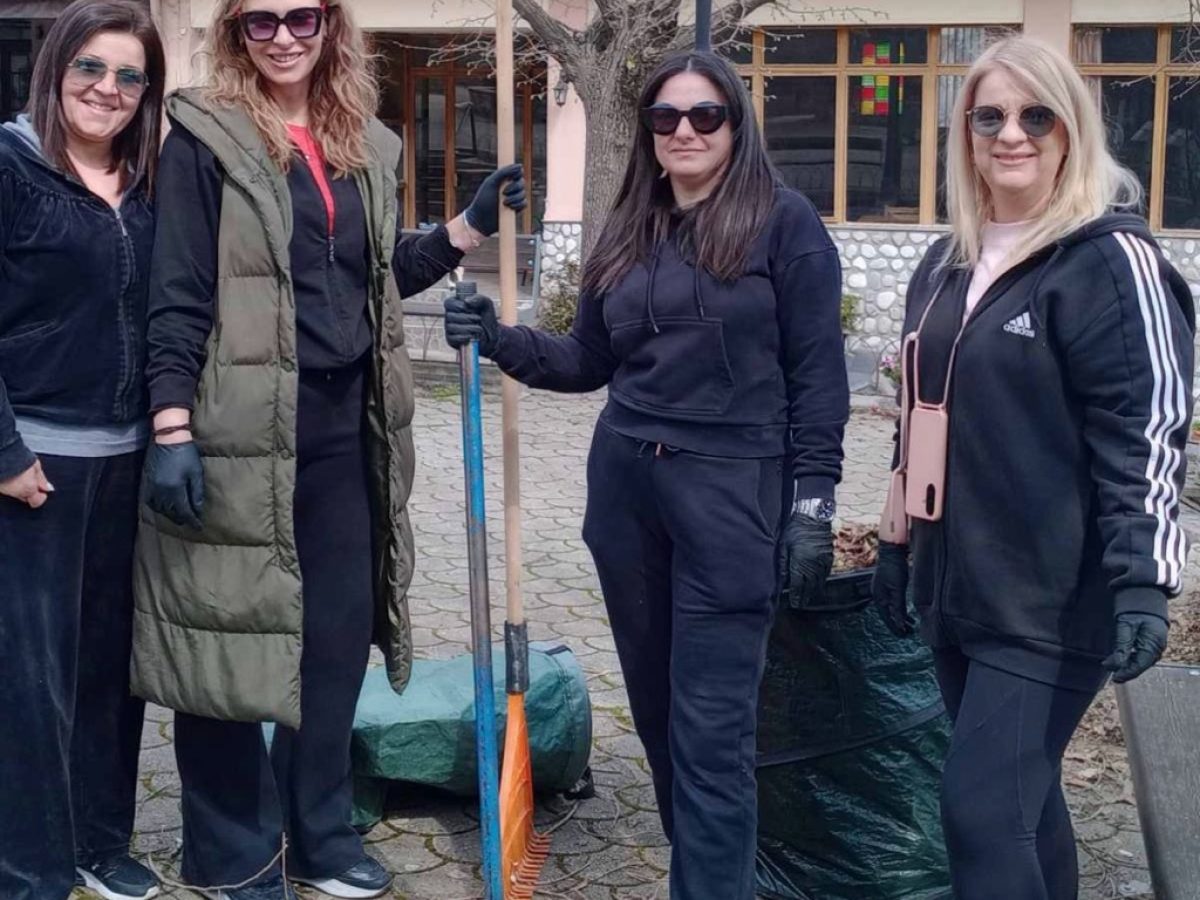 Πρωτοβουλίες του ΜΕΕΣ Διάβας