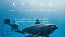 provoli-tou-ntokimanter-Ocean-stin