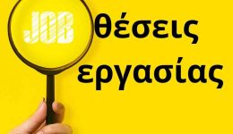 psachnis-doulia-Άmesi-proslipsi-se