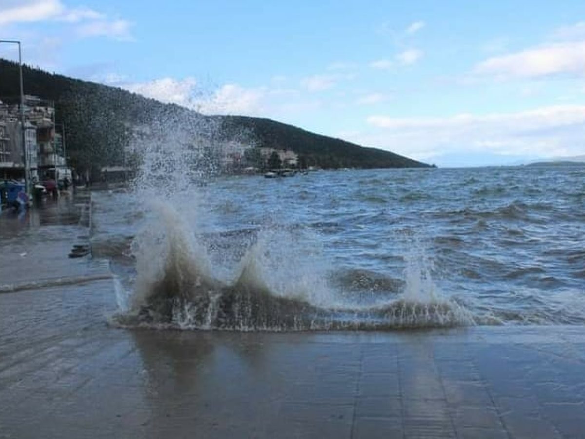 Ψάρια σε πανικό στην παραλία της Αμφιλοχίας