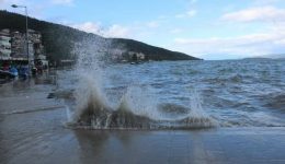 psaria-se-paniko-stin-paralia-4