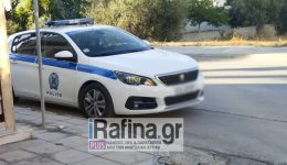 rafina-&Alpha;poklistiko-chiropedes-se-46chrono-1