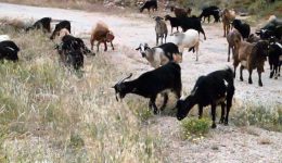 samothraki-etima-anatheorisis-gia-tin