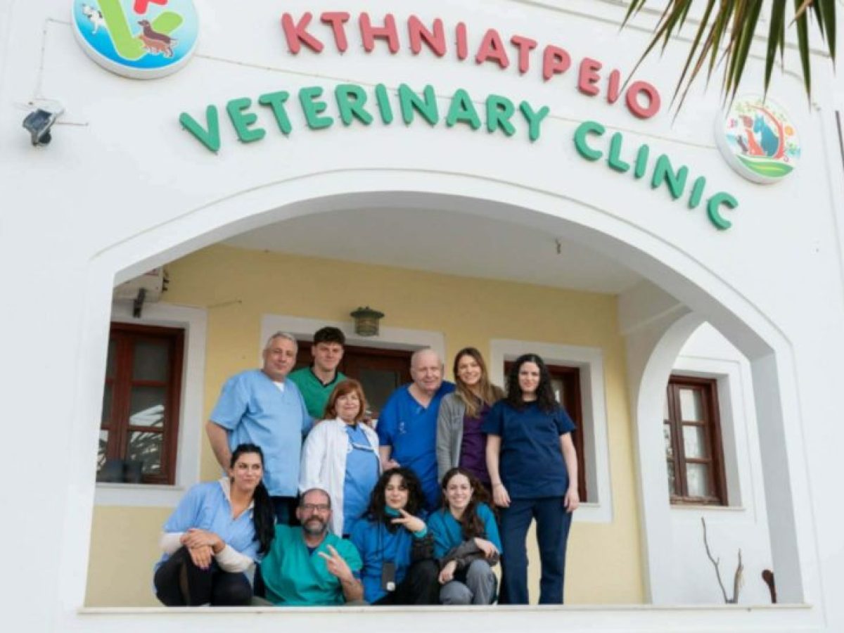 Σαντορίνη: Εθελοντική δράση για τα αδέσποτα γατάκια