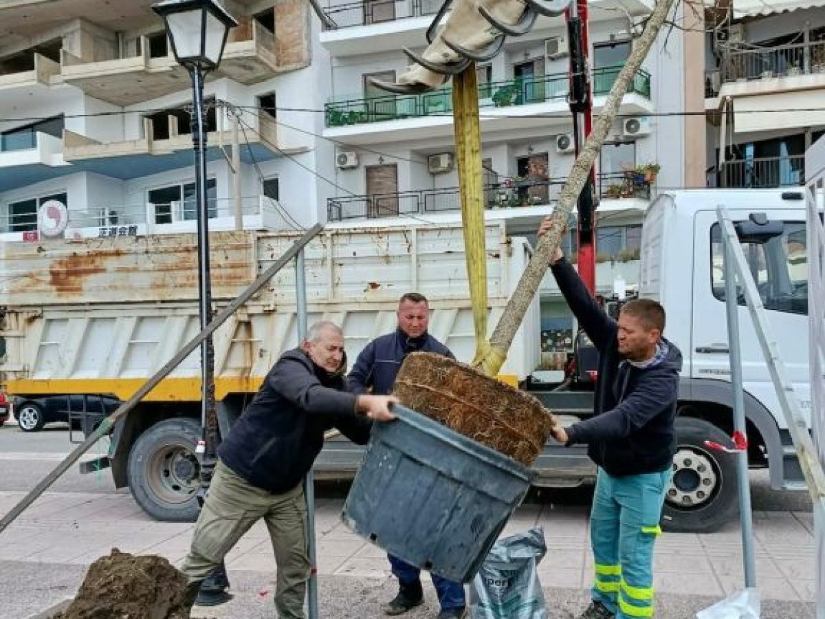Σε εξέλιξη η δεύτερη φάση φυτεύσεων στο παραλιακό μέτωπο της Ναυπάκτου