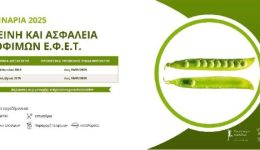 seminario-igiinis-ke-&Alpha;sfalias-trofimon