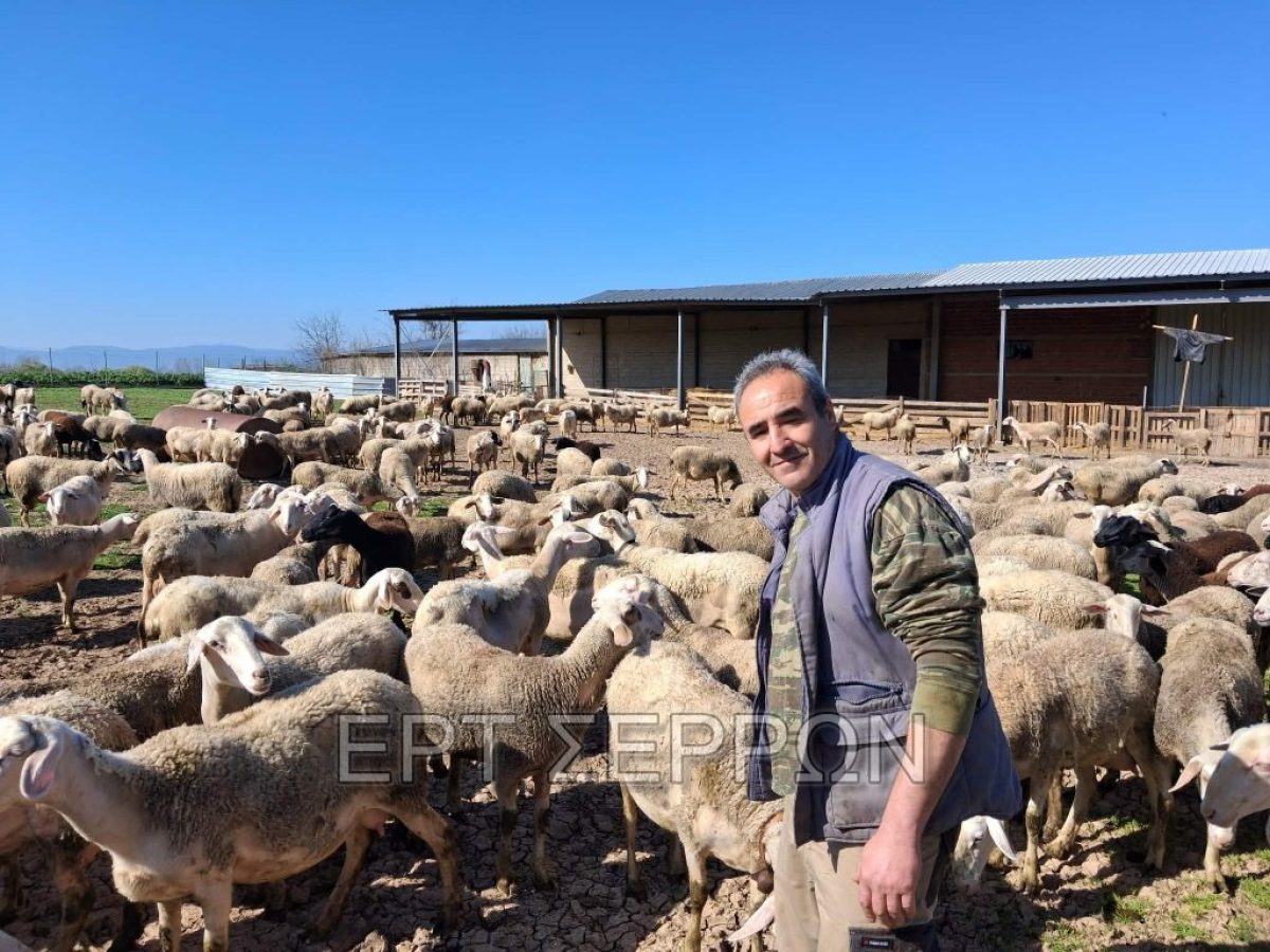 Σέρρες: Το Δ.Σ. του νέου συλλόγου κτηνοτρόφων μπροστά σε νέες προκλήσεις