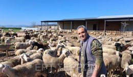 serres-to-d.s.-tou-neou