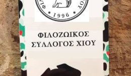 sillipitirio-psifisma-gia-mari-karousi-1