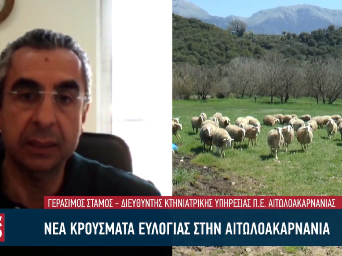 Συλλήψεις για παράνομη μεταφορά ζώων και νέα κρούσματα στην Αιτωλοακαρνανία
