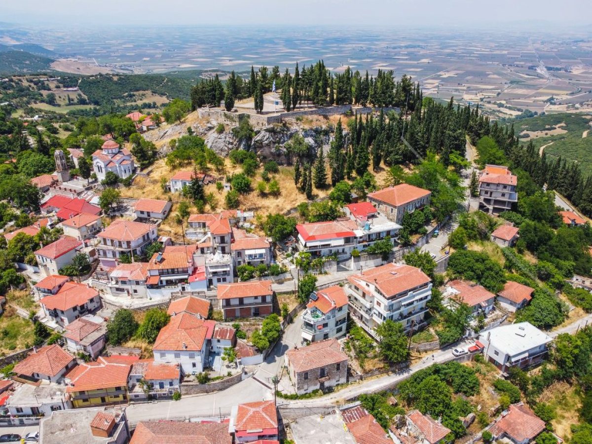 Σύλλογος Δομοκιτών Αθήνας: Συγκροτήθηκε σε σώμα το νέο Διοικητικό Συμβούλιο
