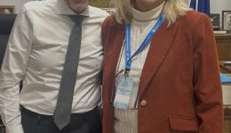 simantikes-desmefsis-gia-ti-ditiki