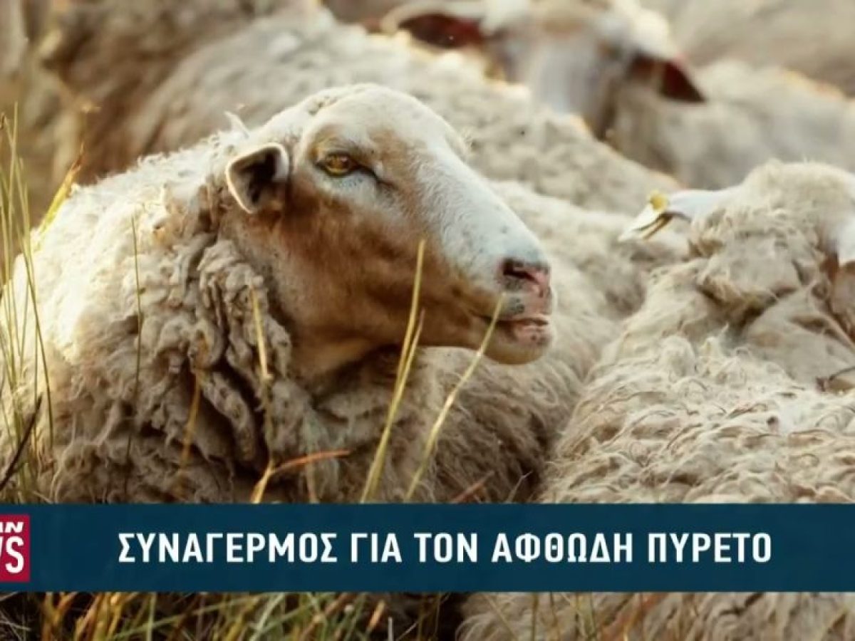 Συναγερμός για τον αφθώδη πυρετό