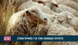 sinagermos-gia-ton-afthodi-pireto