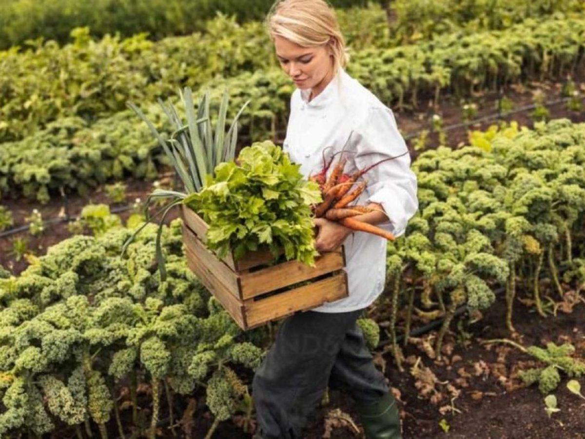 Συνάντηση βιοπαραγωγών στον Βόλο με στόχο την ενίσχυση του κλάδου