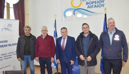 sinantisi-Αntiperiferiarchon-me-ton-proedro