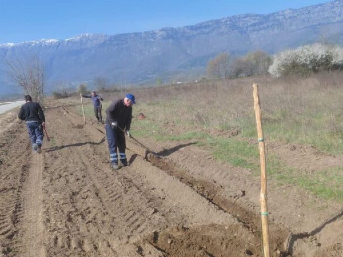 Συνεχίζει τις δενδροφυτεύσεις ο Δ. Τρικκαίων