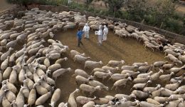 sinechizonte-se-16-stathmous-se