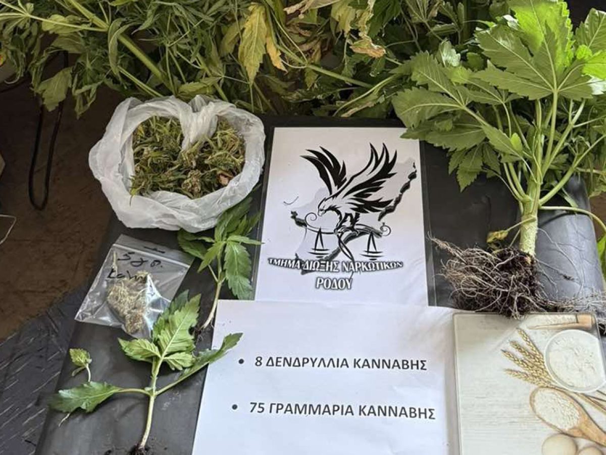 Συνελήφθη 47χρονος για καλλιέργεια κάνναβης στη Ρόδο