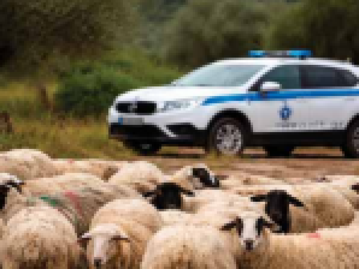 Συνελήφθησαν και στη Λευκάδα μέλη κυκλώματος ζωοκλοπών