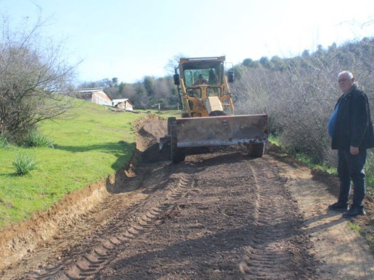 Συντήρηση αγροτικών δρόμων στην Πιάλεια