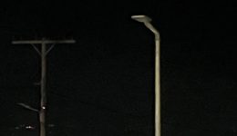 spata-katangelia-katikou-–-Αniparktos