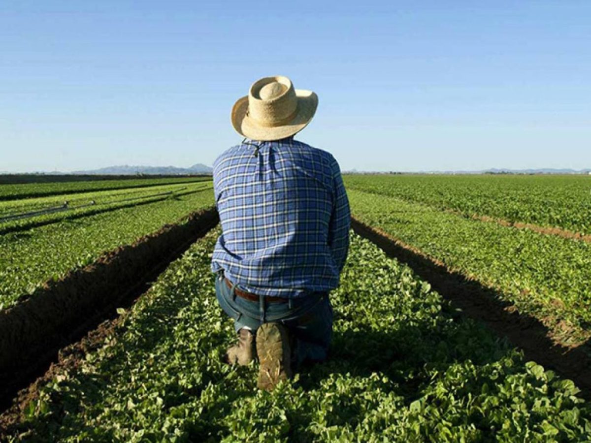 Σπυρίδων Θεοτοκάτος: Ένα αξιέπαινο ζωτικό νήμα