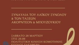 steki-politistikis-kinisis-n.rodopis-sinavlia-2